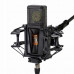 Lewitt PURE TUBE Studio Set lampowy mikrofon kardioidalny z akcesoriami