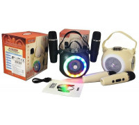 karaoke 2 mikrofony USB MIX