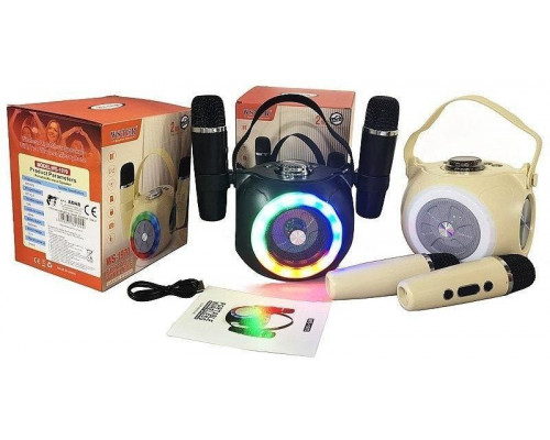 karaoke 2 mikrofony USB MIX