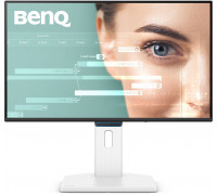 BenQ GW2490TC (9H.LNMLA.TBE)