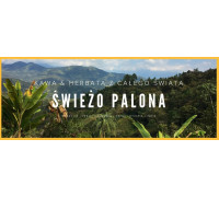 HAYB Świeżo palona Ale Owoc! Guatemala Santa Barbara Przefiltrowana 250g
