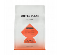 COFFEE PLANT Etiopia Gedeb Lalesa 250g