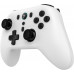 Kontroler COBRA QSP176WH white