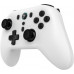 Kontroler COBRA QSP176WH white