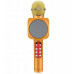 WS-1816 16W karaoke BT microphone with LED 360 Gold