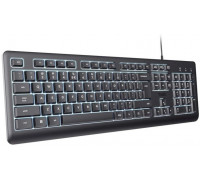 Trust TRUST klawiatura Primo, membranowa, USB-C, podświetlana, czarny