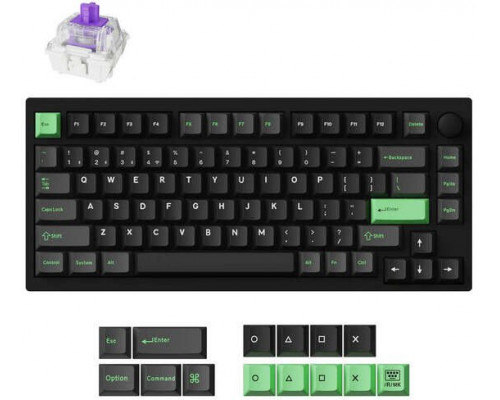 Keychron KEYBOARD WRL P1 HE RGB/BLACK P1H-M1Z KEYCHRON