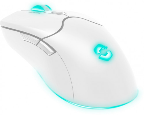 Speedlink Speedlink VELOX Rechargeable RGB Gaming Mouse Wireless white