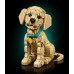 LEGO Icons Szczeniak golden retriever (11384)