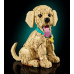 LEGO Icons Szczeniak golden retriever (11384)
