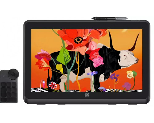 Xp Pen Artist Pro 22 Drawing Ekran (Gen2)