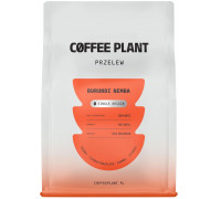 Coffee Plant Burundi Nemba 250 g