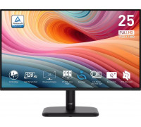 MSI PRO MP251L E2