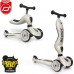 Scoot and Ride Highwaykick 1 Ash (96268)