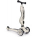 Scoot and Ride Highwaykick 1 Ash (96268)