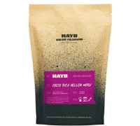 HAYB Costa Rica Hellen Mora Espresso 250g (5904844575357)
