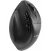 Gembird Bezprzewodowa ergonomiczna tri mode 2.4G + BT + USB 2400DPI 9 przycisków czarna (MUSW3-9B-01)