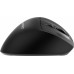 Gembird Bezprzewodowa ergonomiczna tri mode 2.4G + BT + USB 2400DPI 9 przycisków czarna (MUSW3-9B-01)