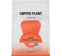 Coffee Plant Zairnista Uganda Rubirizi 250g (5904800244372)