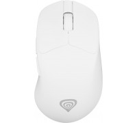 GENESIS Zircon 606  (NMG-2433)