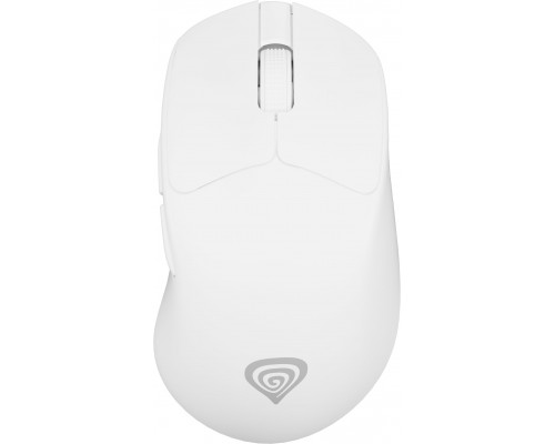 GENESIS Zircon 606  (NMG-2433)