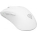 GENESIS Zircon 606  (NMG-2433)