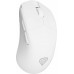GENESIS Zircon 606  (NMG-2433)