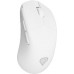 GENESIS Zircon 606  (NMG-2433)