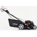 NAC LS46-146-HS-ES-NG