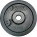 Best Sporting Cast iron Black 5 kg Fi 30mm