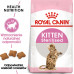 Royal Canin Kitten Sterilised karma sucha dla kociąt od 4 do 12 miesiąca życia, sterylizowanych 2 kg
