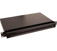 Switch Lanview Fibre patch panel 19