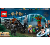 LEGO Harry Potter Testrale i kareta z Hogwartu™ (76400)