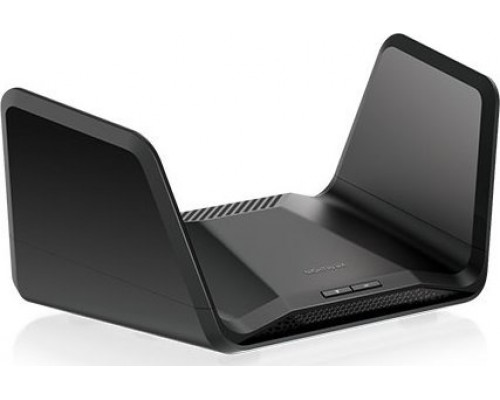 NETGEAR RAXE300-100EUS