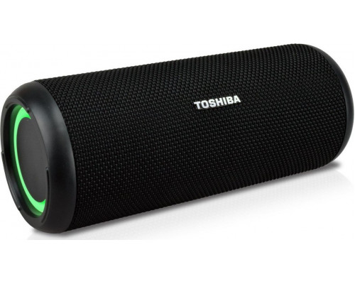 Toshiba TY-WSP201 black