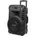 Azusa Active speaker (with 2 wireless microphones, SD, Bluetooth, USB) 12" 40W