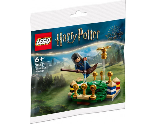 LEGO Harry Potter Trening quidditcha (30651)