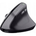 Trust TRUST BAYO II ERGONOMIC WIRELESS MOUSE BLK (25145)