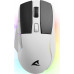 Sharkoon Sharkoon SKILLER SGM50W (white, including charging station)