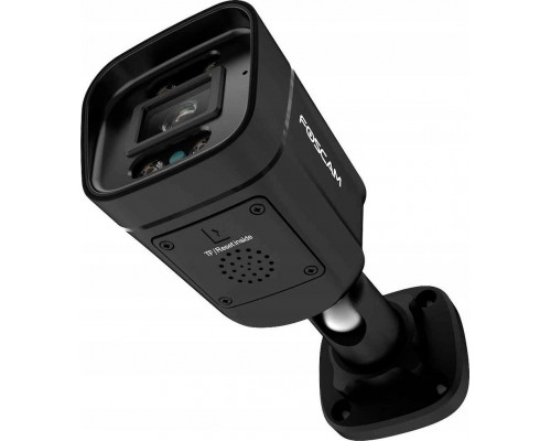 Foscam Foscam V8EP, surveillance camera (black)