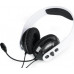 Raptor RAPTOR-GAMING H200 WHITE