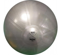 Toorx Vingrošanas bumba 65cm TOORX PRO AHF-148