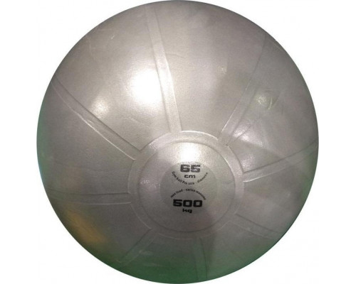 Toorx Vingrošanas bumba 65cm TOORX PRO AHF-148