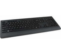 TRITON Lenovo 4X30H56841 klawiatura RF Wireless QWERTY US English Czarny