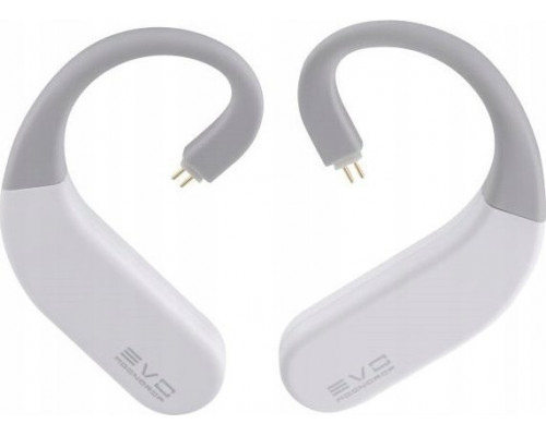 Moondrop Moondrop EVO - True Wireless Adapters