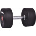 inSPORTline ‎‎Hantel Profi rubberized 1 x 22 kg