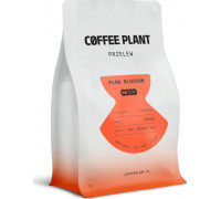 Coffee Plant FLOW Blossom 250 g