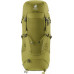 Deuter Aircontact Core 40+10 kaktus-bluszcz