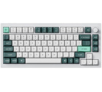 Keychron Q1 HE QMK Gateron Double-Rail Magnetic Nebula (Q1H-P1)
