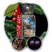 1kg x2 Tayrona + 32 Red Coffee 100% Arabica
